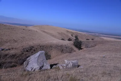 DSC_2176 (Large).JPG